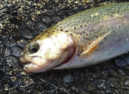 今年最後の釣り
